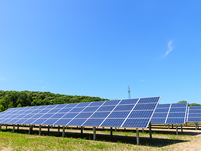 太陽光発電所内の除草作業